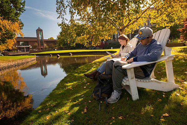 library picture